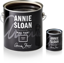Load image into Gallery viewer, Wall Paint