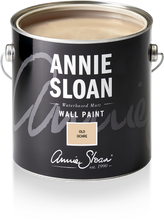 Load image into Gallery viewer, Wall Paint