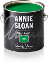 Load image into Gallery viewer, Wall Paint