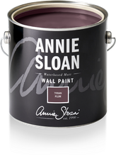 Load image into Gallery viewer, Wall Paint