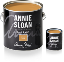 Load image into Gallery viewer, Wall Paint