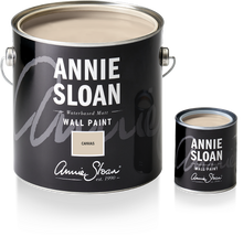 Load image into Gallery viewer, Wall Paint
