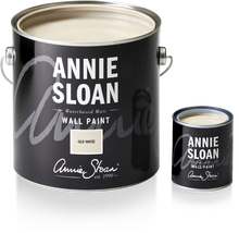 Load image into Gallery viewer, Wall Paint