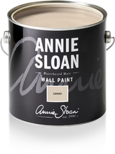 Load image into Gallery viewer, Wall Paint