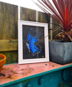 The blue butterfly by Fishers Screen Art