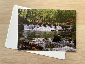 Stepping Stones (Card)