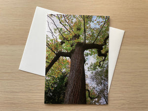 Tree Monster (Card)